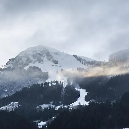 Feichter Casa de hóspedes 3*