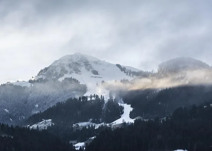 Feichter 게스트하우스 3*